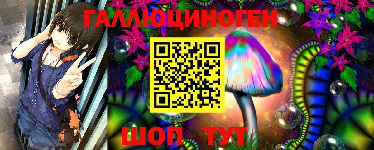 Галлюциногенные грибы MAGIC MUSHROOMS  Вход с VPN  Чебаркуль 