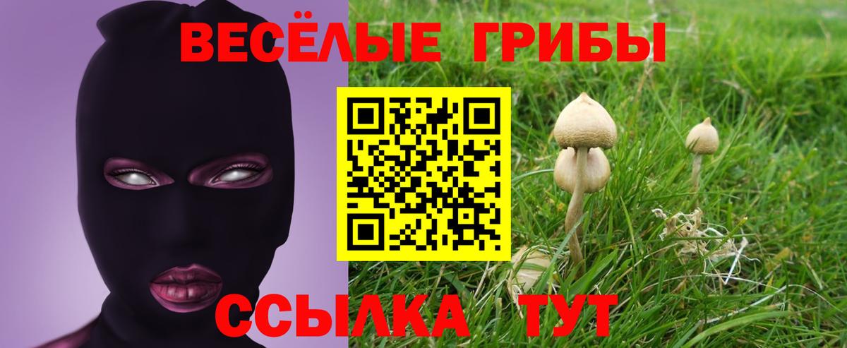 Галлюциногенные грибы прущие грибы Чебаркуль